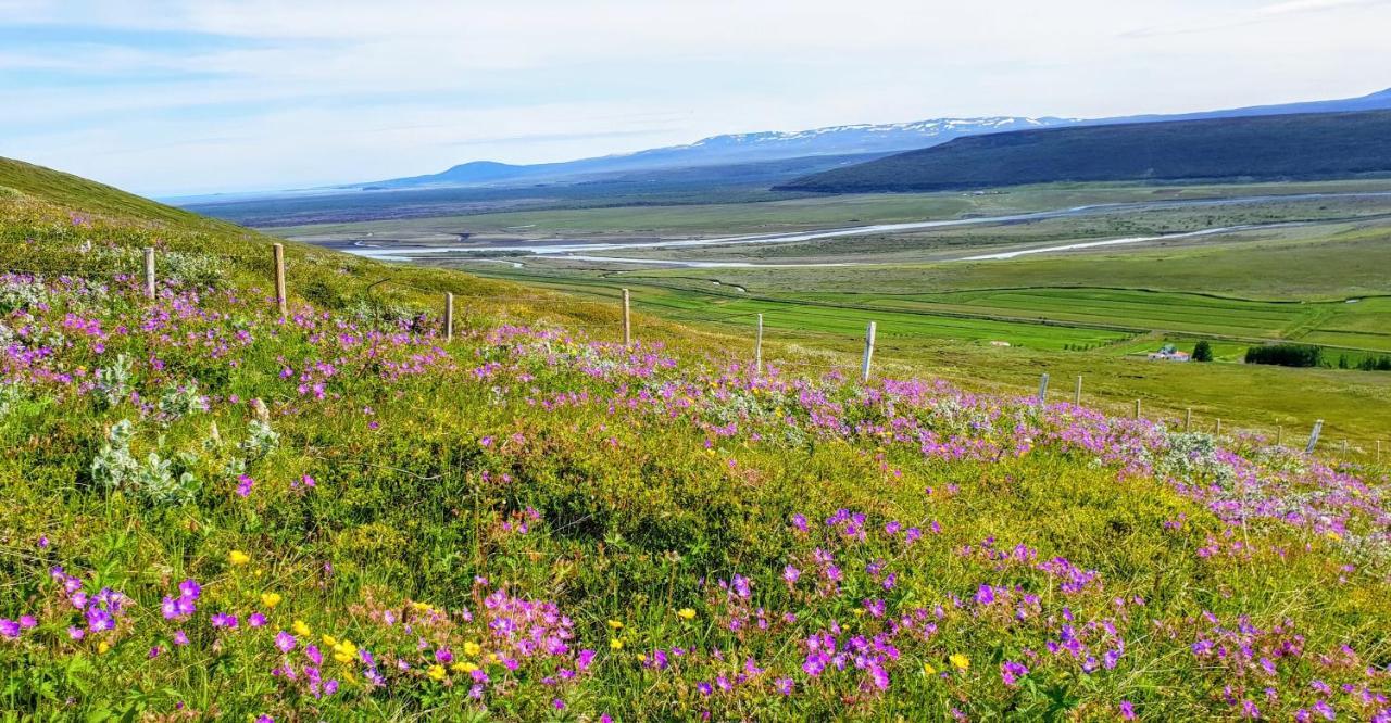 Svartaborg Húsavík Esterno foto